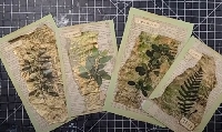 YTPC:  Painted & Layered Journal Cards