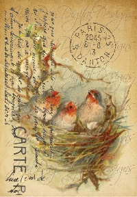 MFF:Collaged Index Card with a Nesting Bird
