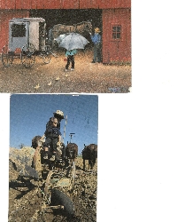 SIGN UP TO WIN 2 USED AMISH POSTCARDS