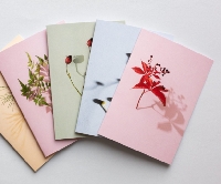 A Year of Cards #5 May 2025 - EU & UK