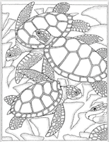 MAE: Coloring page envies