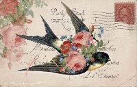 Postcard Swap #3 - Vintage Edition! 
