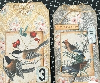 USAPC:  Scrap Tags June 2025