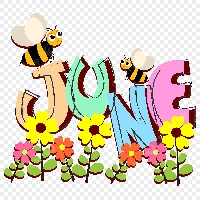 June Fern Letter 2025