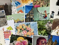 3 PC Letter - Anything goes - June 25 - Newbie