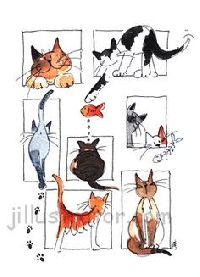 WIYM-Owned by my cat-US