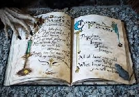 BS&S ~ BoS Page: Medicine Plant