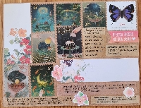 Cover The Envelope 💌 #15 USA