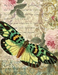 VJP: Summer Flowers and Butterflies