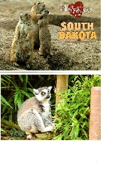 SIGN UP TO WIN 2 USED ANIMAL POSTCARDS   