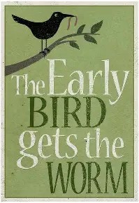 🐦🦃🐓 QUICK IDIOMS PC -BIRD 