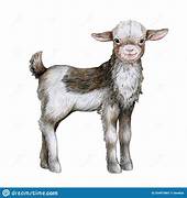 FTLOC#2 - ITS the GOAT! Senders Choice!