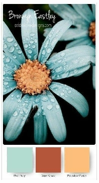 GAA: Gorgeous Color Combinations