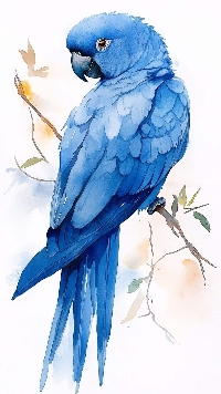 VC: Fabulous Birds Inkbox Card Booklet part 2