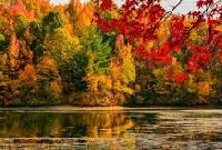MAEI: Fall Themed Envie 