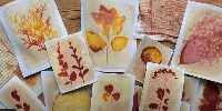 Sun Dyed Notecard Swap
