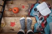 Send Me Junk Again- Fall Themed