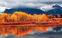 WIYM: CREATE A FALL/AUTUMN POSTCARD