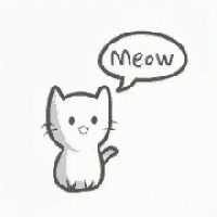 WIYM: Cats, Cats, CATS! *USA*