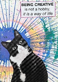 AIA: National Tuxedo Cat Day USA