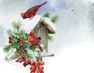 CM: Bird Christmas Card
