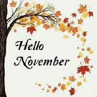 November Fern Letter