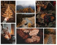 IA : Fall Twinchies - Sender's Choice 