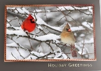 Upcycled Christmas Card PC # 8 - bird