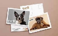 WIYM: POSTCARD SCAVENGER HUNT SWAP X14
