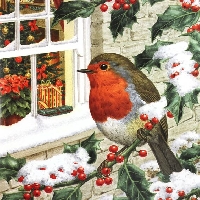 Christmas card swap - Animal/s