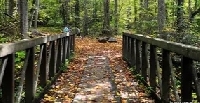 WIYM: NAKED PARK POSTCARD SWAP #10
