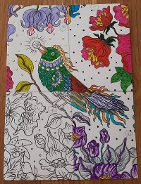WIYM: Postcard Coloring Collab February 2026 USA