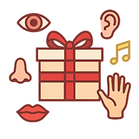 The Five Senses Christmas Parcel