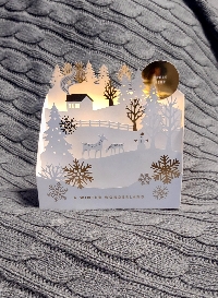 Extraordinary 3D Christmas Card - USA 