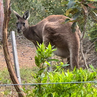 ZMACS:zine go round CATCHUP #14 