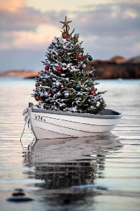 JLG: Stream of Consciousness (1:1)