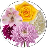 (Email Swap) Bible Study ~ Temptations & Trials