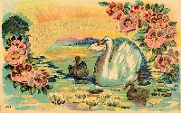 SMSUSA:  Card And A Pen Pal Letter