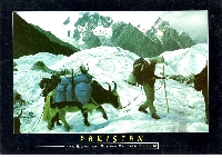 SIGN UP TO WIN A POSTCARD SENT NAKED   