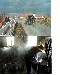 SIGN UP TO WIN AN AMISH POSTCARD SENT NAKED