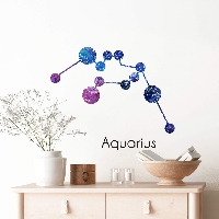 Happy Birthday Aquarius