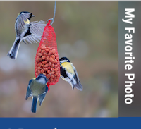 ESG: My Favorite Photo - January 2026