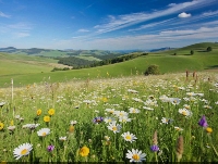 The Season You’re In