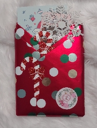 📚 Bookish Advent Calendar 2026 - USA #3 & #4📚