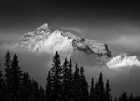 WIYM: NAKED BLACK AND WHITE PHOTO POSTCARD