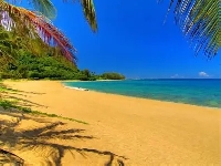 WIYM: NAKED BEACH POSTCARD SWAP #4