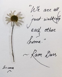 Random Notes of Happiness #7