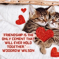 💌 VALENTINES Profile Decoration