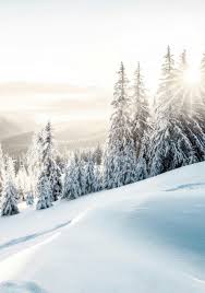 Sharp Shooters: Winter's Finest