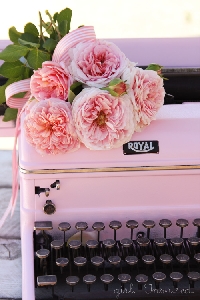 CSG  ~ (Email Swap) Bible Study - Philippians 4